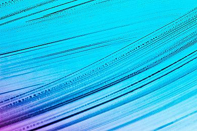 《彩虹六号 异种》Steam发售 综合评价“多半好评”